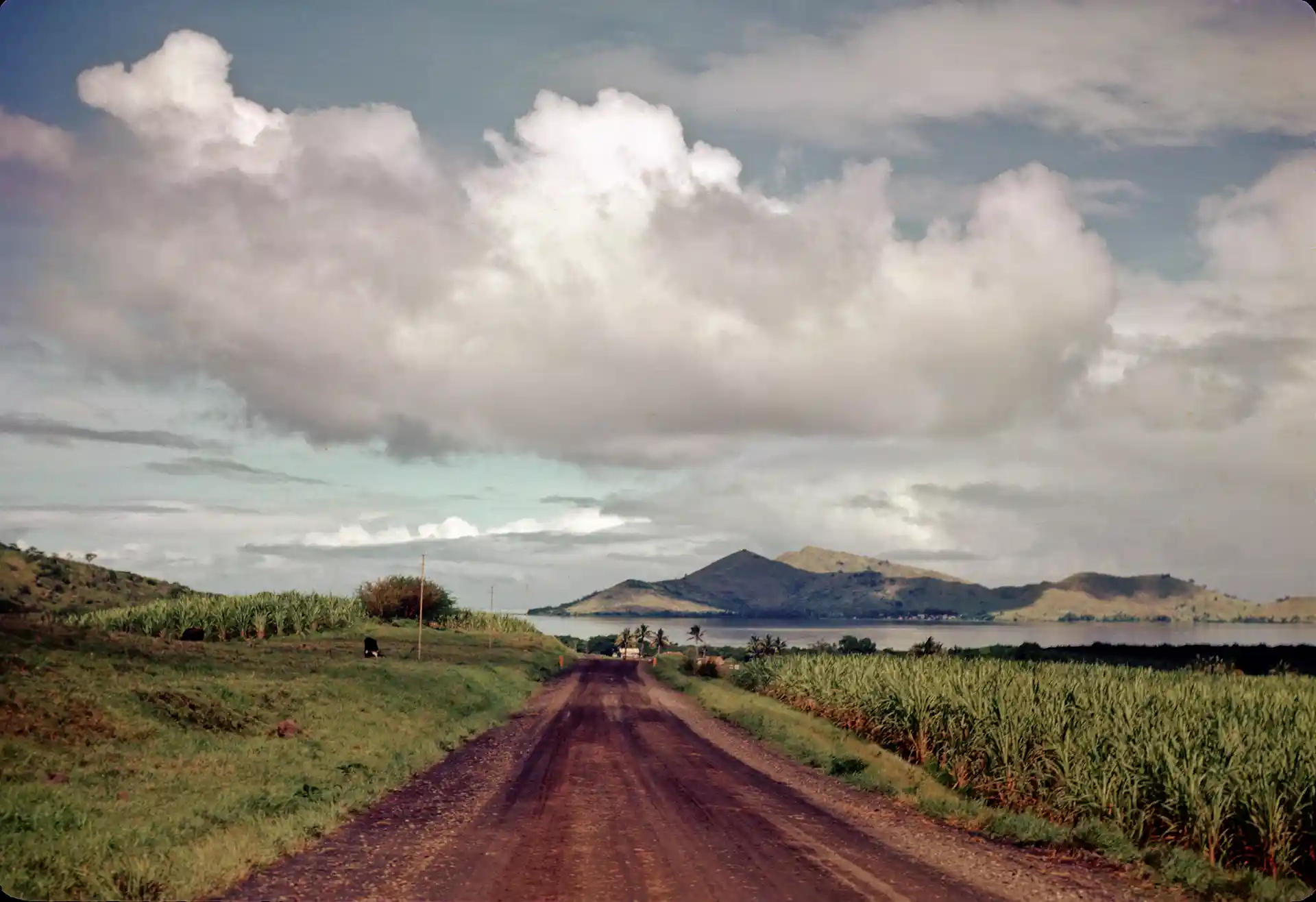 On the road toward Rakiraki
