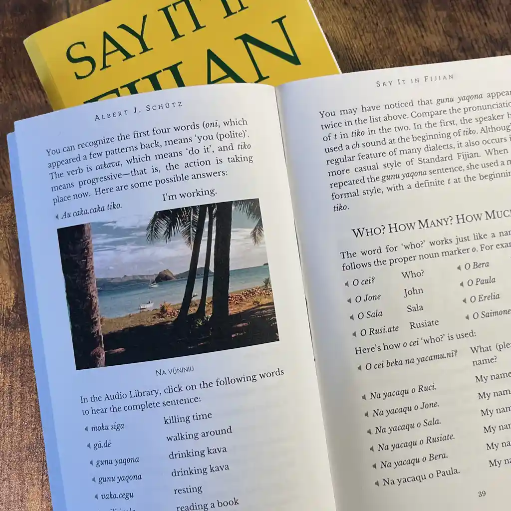Say It in Fijian paperback books
